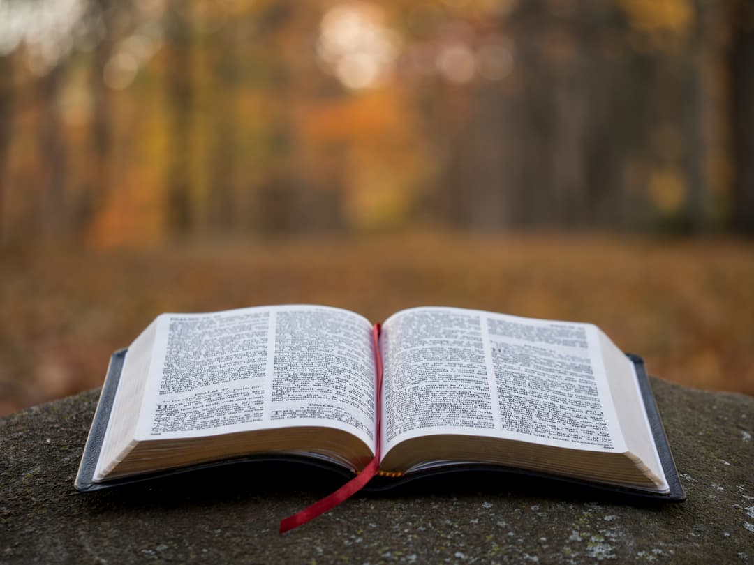 Holy Bible